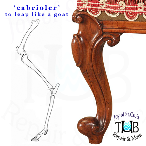 cabriole-skeleton-furniture-comparison-002-500 cabriole leg comparison to ungulate leg